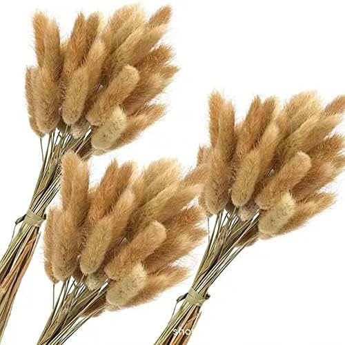 Eforcase Dried Flower Bouquet Set - Tan White Pampas Grass and Reed