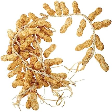Magiclulu 15pcs Hanging Fake Peanut String Decor