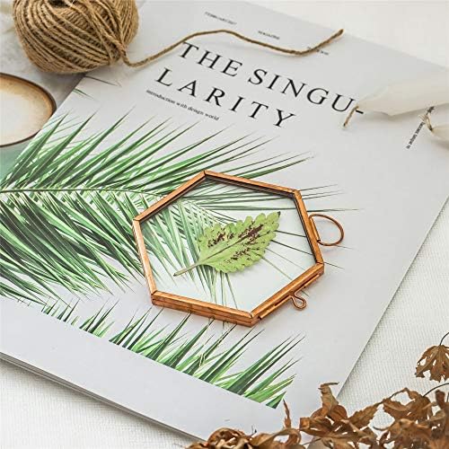 NCYP Rose Gold Copper Hexagon Herbarium Frame