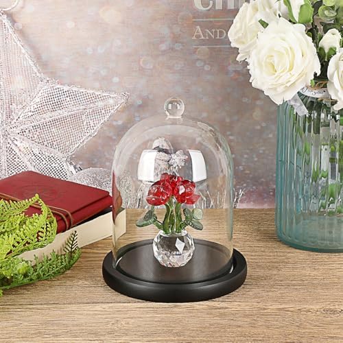 JUXYES Clear Glass Cloche with Wood Base