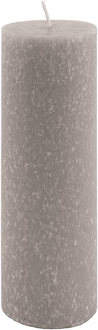 Root Candles Unscented Timberline Pillar Candle 3x9 Inches Platinum