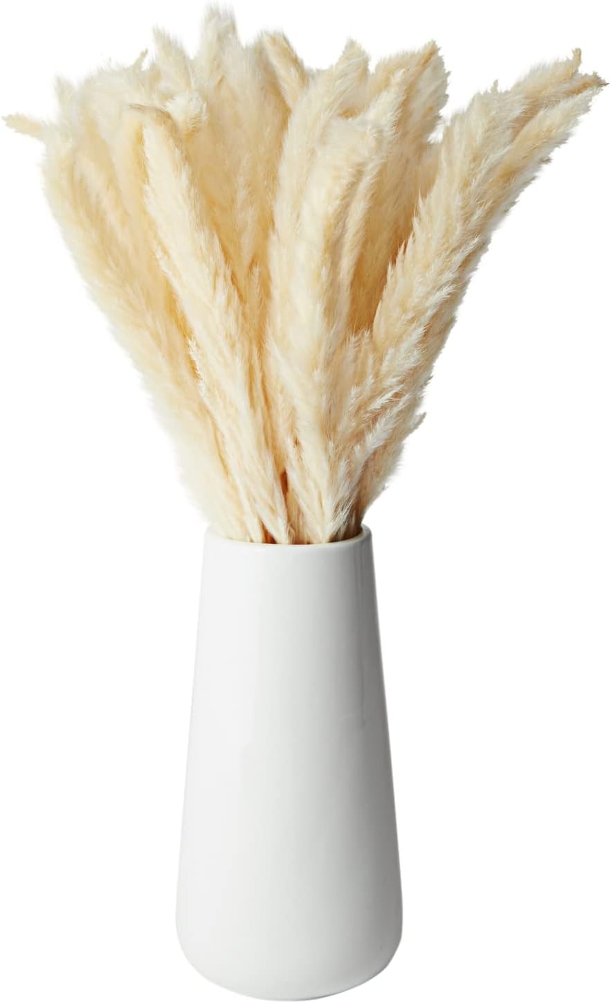 Farmlyn Creek Ivory Pampas Grass Vase Set
