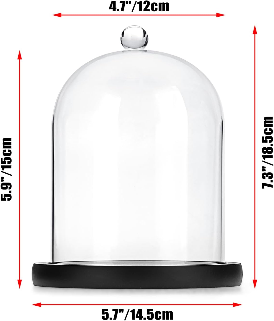 JUXYES Clear Glass Cloche with Wood Base