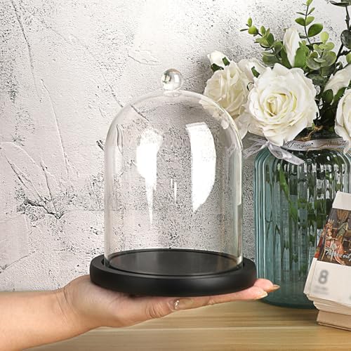 JUXYES Clear Glass Cloche with Wood Base