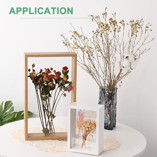 2-Pack Dried Flower Frame 6x6 Inch Double Acrylic Wood Display Frame