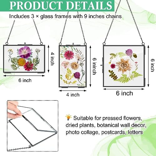 Geetery 9 Pcs Black Hanging Glass Frame for Dried Flowers