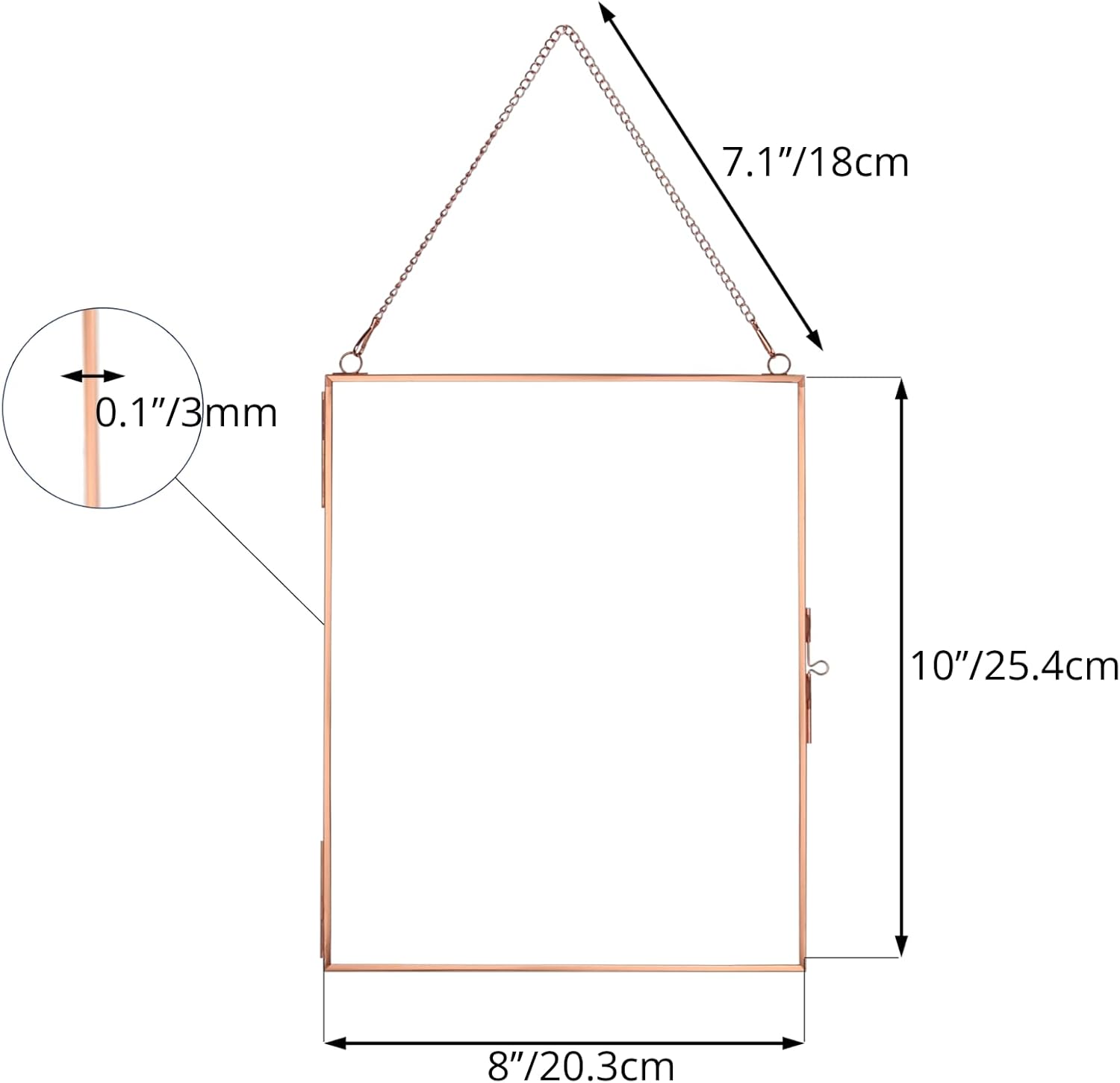 NCYP 8x10 Inch Rose Gold Wall Frame for Photos and Plants