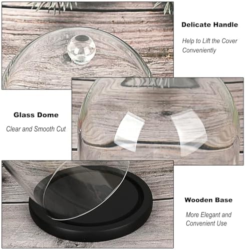 JUXYES Clear Glass Cloche with Wood Base