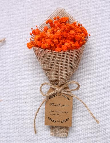 20-Piece Mini Magnet Dried Flower Bouquet Set Orange