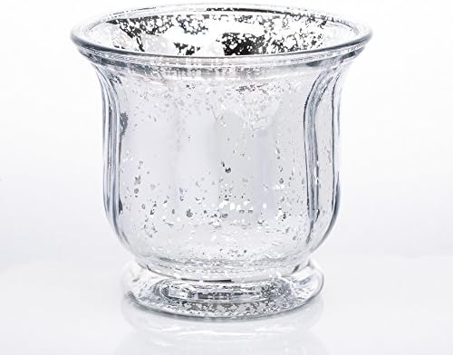 Richland Venus Jars Mercury Silver Set of 12 1