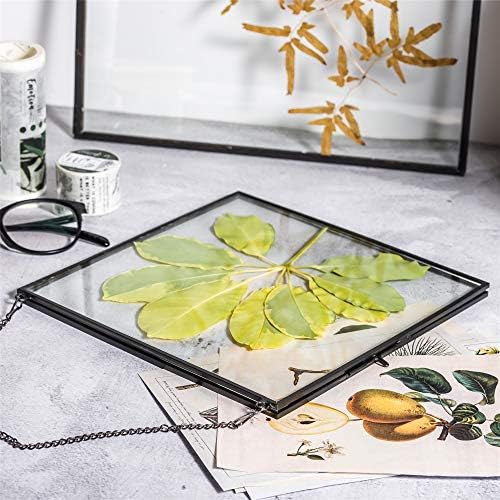 NCYP Hanging Glass Floating Frame for Pressed Flowers and Photos