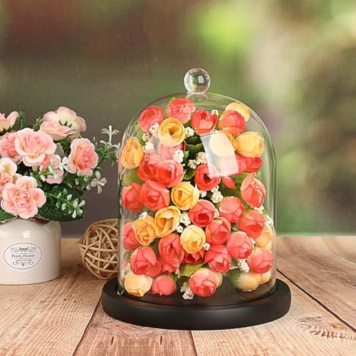 JUXYES Clear Glass Cloche with Wood Base