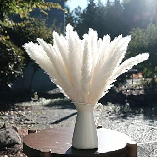 Eforcase Dried Flower Bouquet Set - Tan White Pampas Grass and Reed