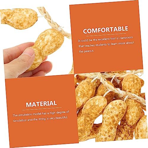 Magiclulu 15pcs Hanging Fake Peanut String Decor