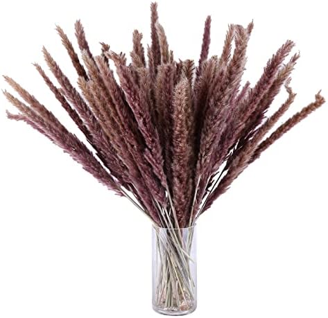 Eforcase 75PCS Dried Pampas Grass Boho Decor