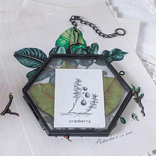 NCYP Mini Hanging Hexagon Glass Frame for Dried Flowers and Photos