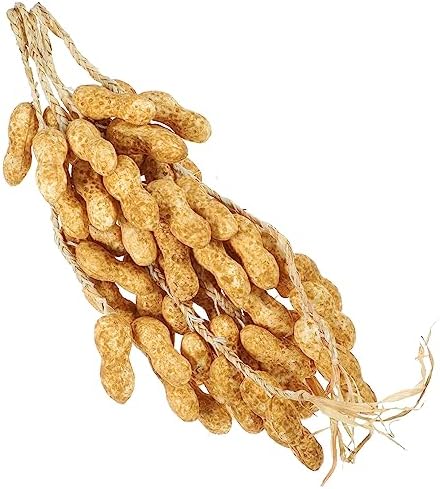 Magiclulu 15pcs Hanging Fake Peanut String Decor
