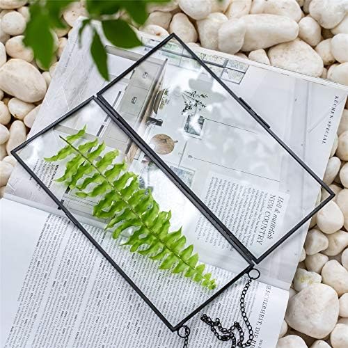 NCYP Small Double Glass Floating Frame - 41 x 9 Wall Hanging Art Display
