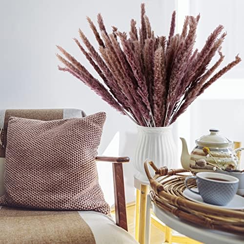 Eforcase 75PCS Dried Pampas Grass Boho Decor