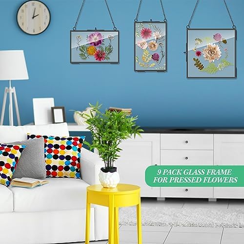 Geetery 9 Pcs Black Hanging Glass Frame for Dried Flowers