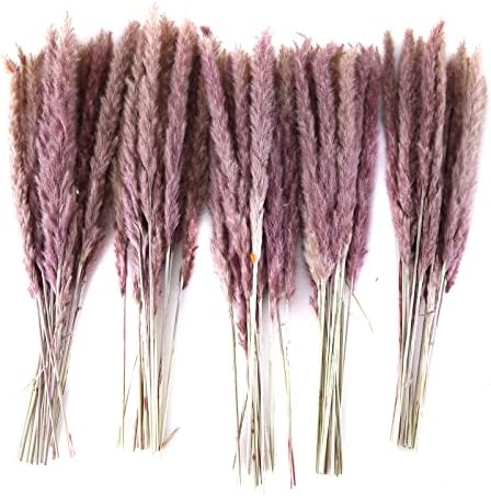 Eforcase 75PCS Dried Pampas Grass Boho Decor