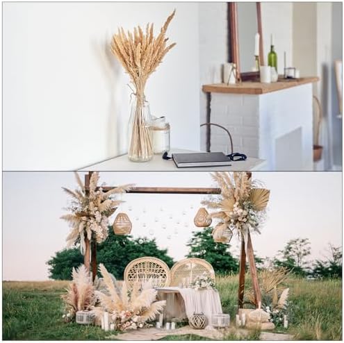 MECCANIXITY 30PCS Yellow Pampas Grass Decor