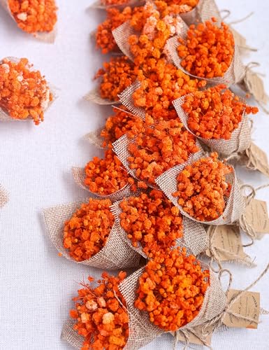 20-Piece Mini Magnet Dried Flower Bouquet Set Orange