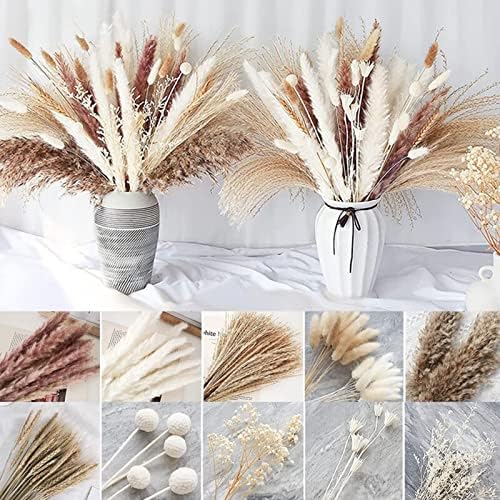 Ochine Natural Dried Lagurus Ovatus for Home Decor