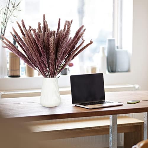 Eforcase 75PCS Dried Pampas Grass Boho Decor