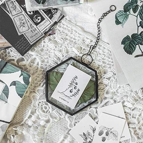 NCYP Mini Hanging Hexagon Glass Frame for Dried Flowers and Photos