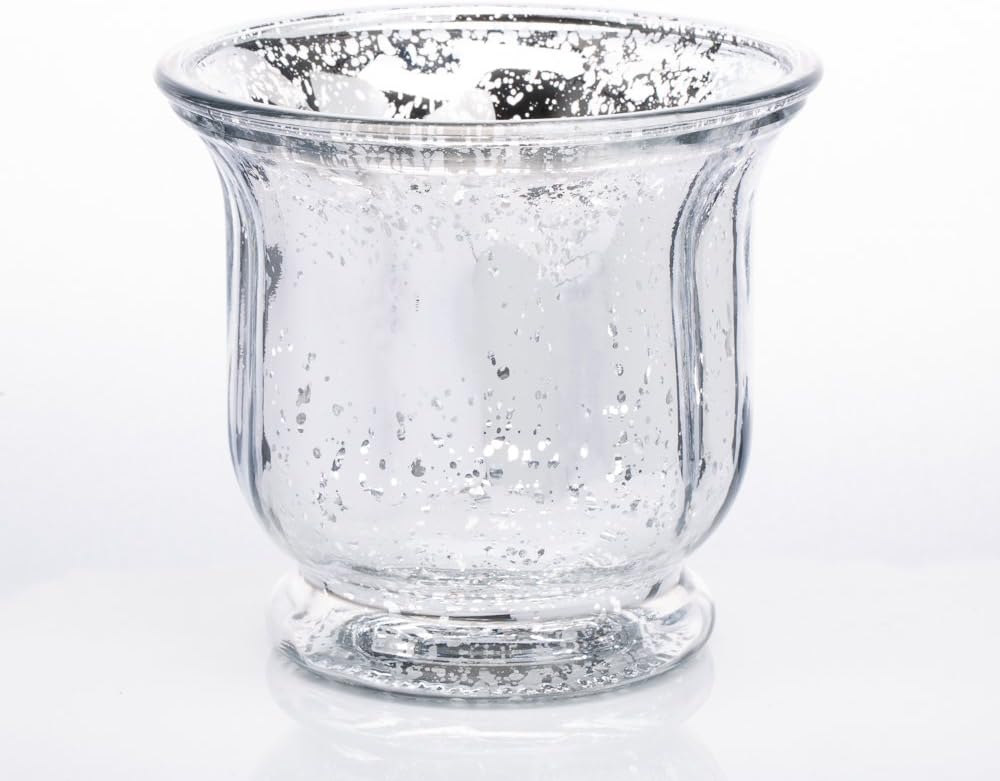 Richland Venus Jars Mercury Silver Set of 12 1