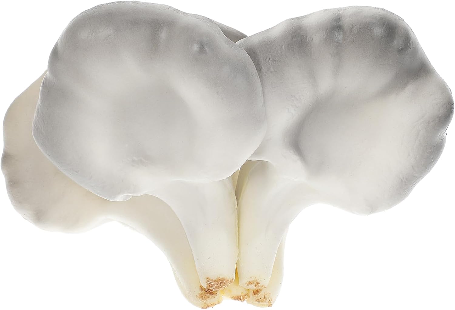 Garneck Miniature Oyster Mushroom Decor for Home Office Party