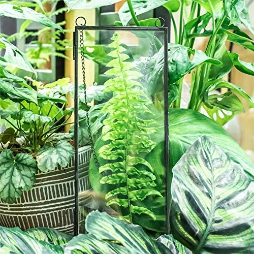 NCYP Small Double Glass Floating Frame - 41 x 9 Wall Hanging Art Display