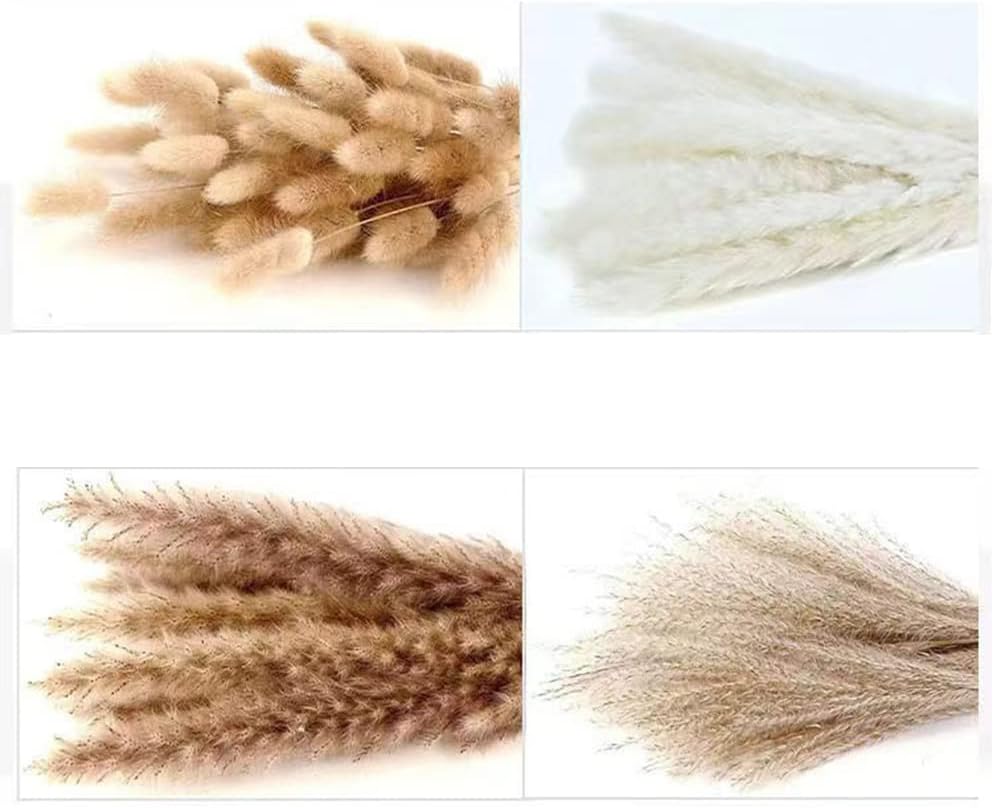 Eforcase Dried Flower Bouquet Set - Tan White Pampas Grass and Reed