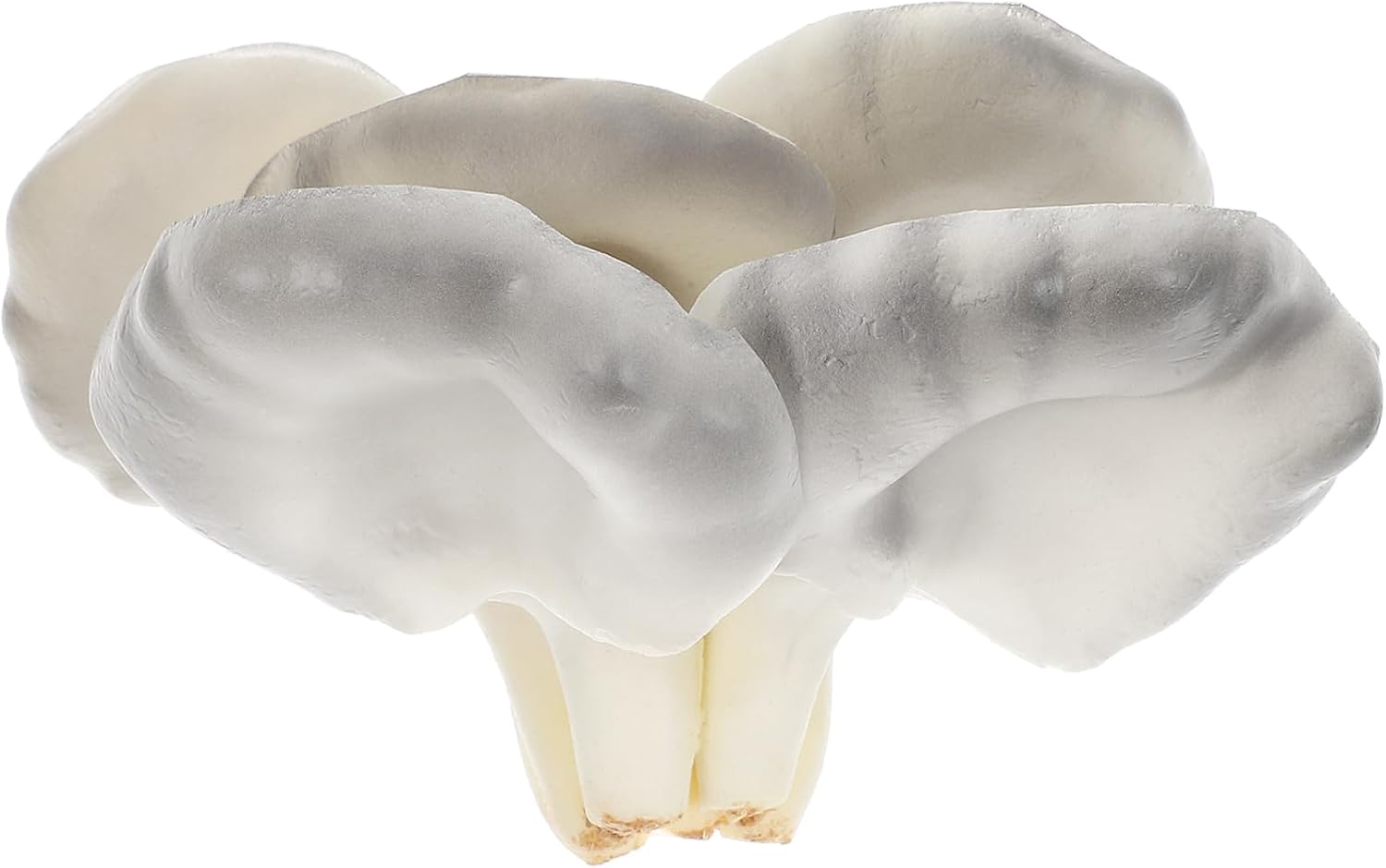 Ciieeo Realistic Faux Straw Mushroom Decor Prop