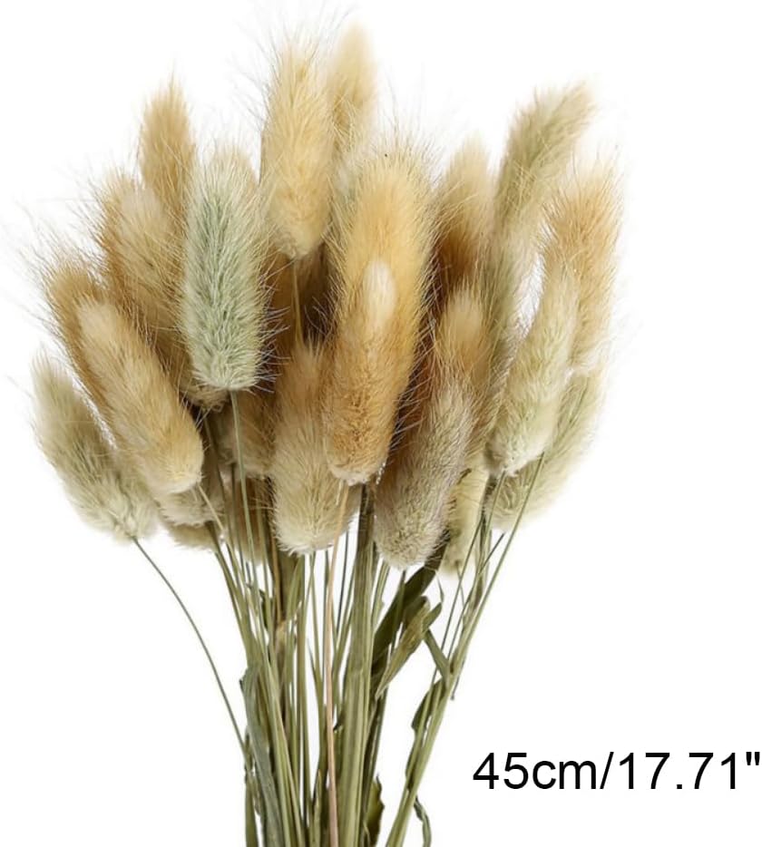 Hotfiary 150 Pcs Dried Pampas Grass Decor
