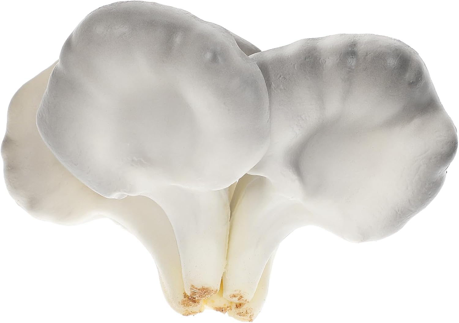 Realistic Mushroom Photo Prop for Home and Party