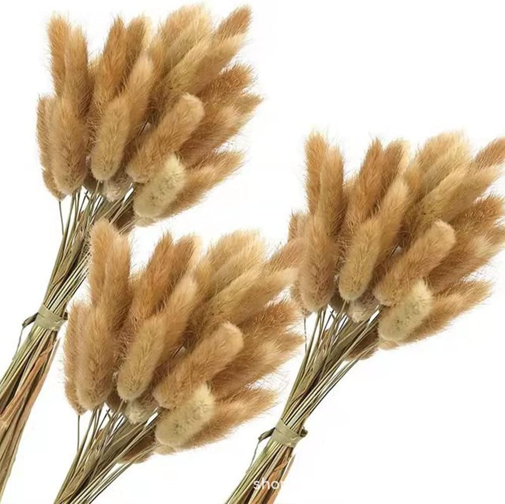 Eforcase Dried Flower Bouquet Set - Tan White Pampas Grass and Reed