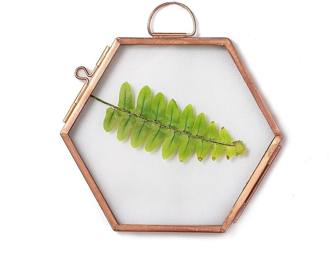 NCYP Rose Gold Copper Hexagon Herbarium Frame