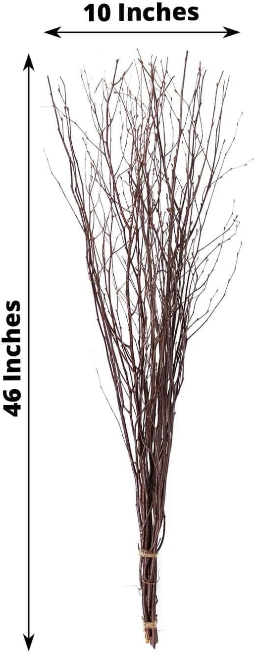 Efavormart 6 Pack Natural Birch Tree Branches Vase Fillers