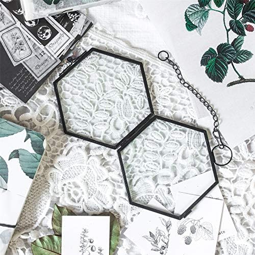 NCYP Mini Hanging Hexagon Glass Frame for Dried Flowers and Photos