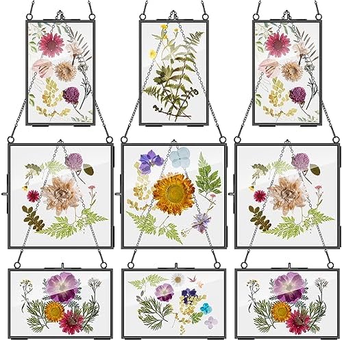 Geetery 9 Pcs Black Hanging Glass Frame for Dried Flowers