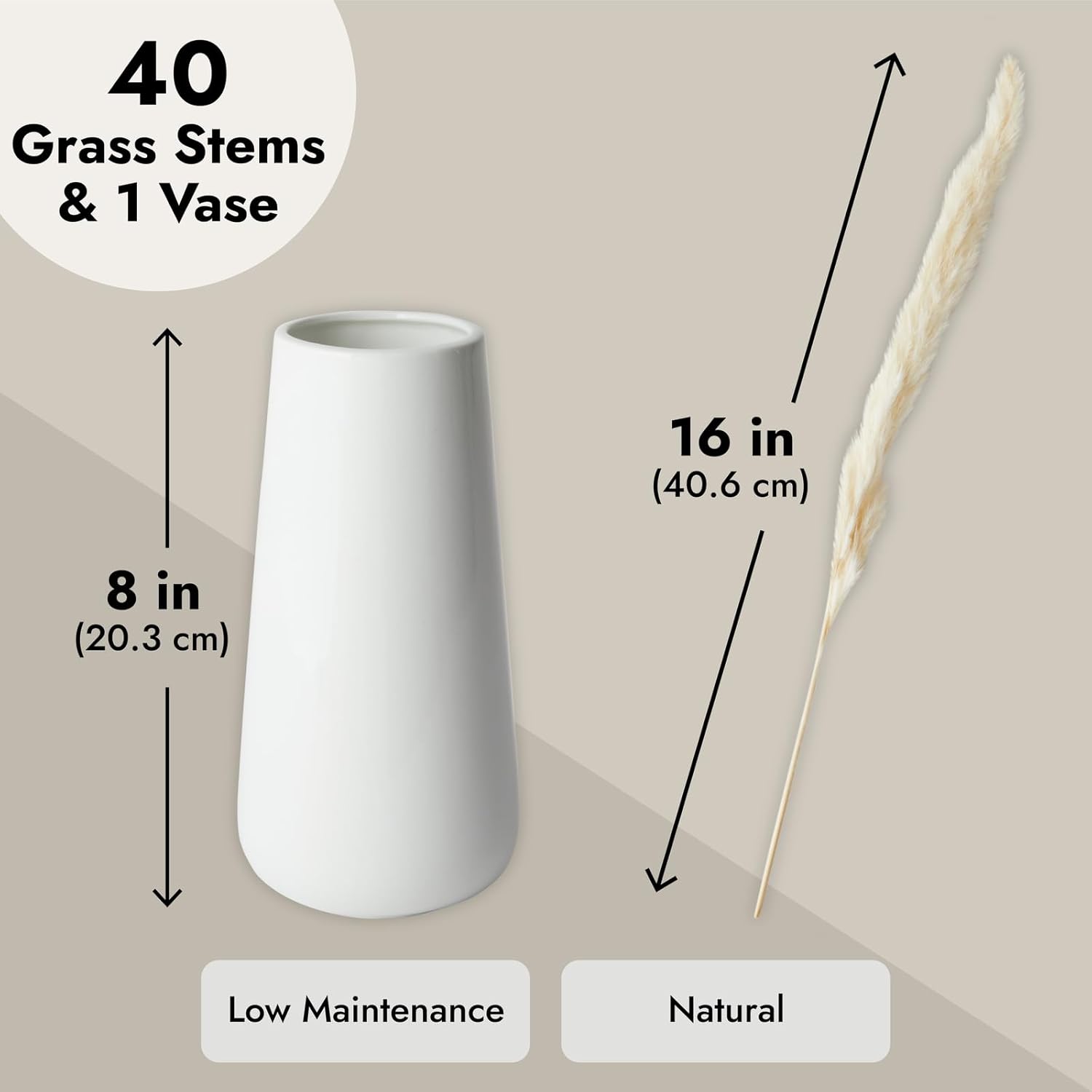 Farmlyn Creek Ivory Pampas Grass Vase Set