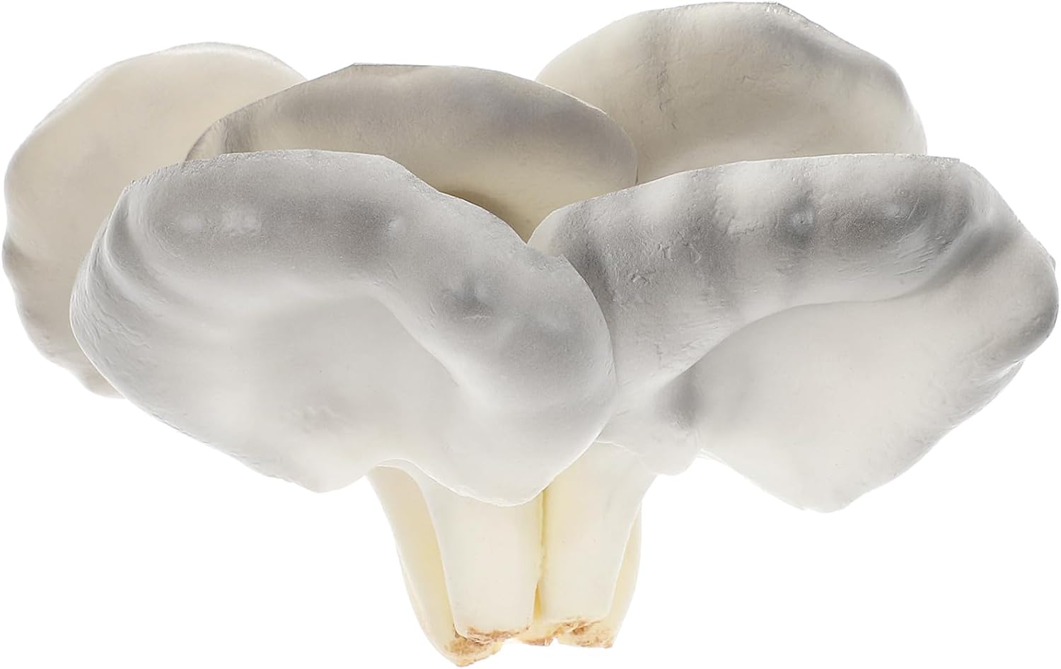 Realistic Fake Straw Mushroom Decor Wall Art