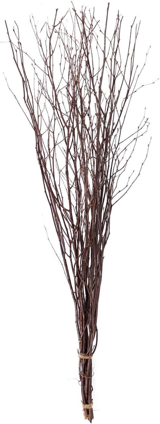 Efavormart 6 Pack Natural Birch Tree Branches Vase Fillers