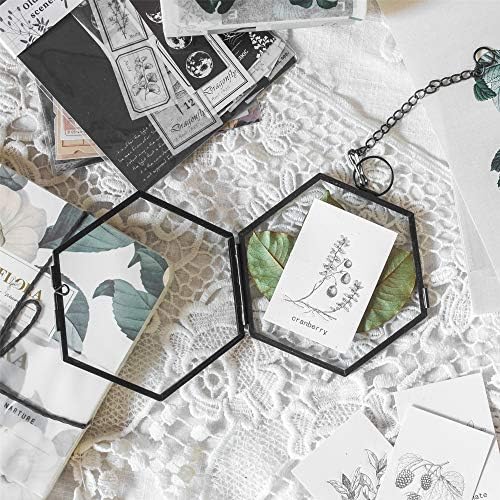 NCYP Mini Hanging Hexagon Glass Frame for Dried Flowers and Photos