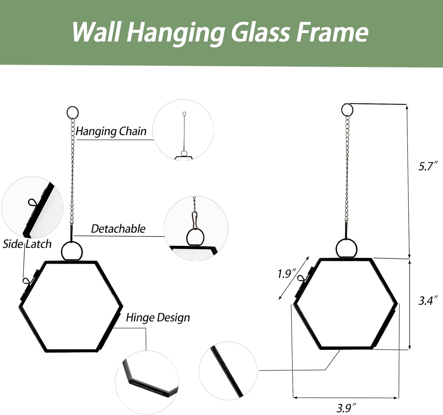 Mini Glass Floating Frame for Dried Flowers Wall Hanging