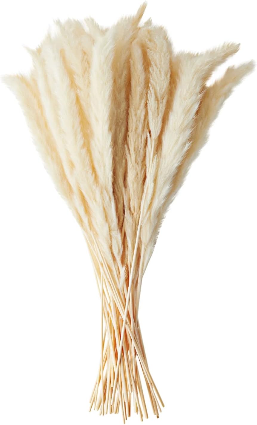 Farmlyn Creek Ivory Pampas Grass Vase Set