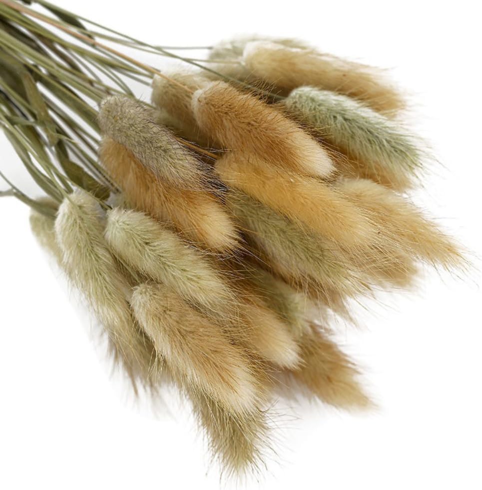 Hotfiary 150 Pcs Dried Pampas Grass Decor
