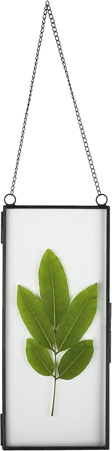 NCYP Small Double Glass Floating Frame - 41 x 9 Wall Hanging Art Display
